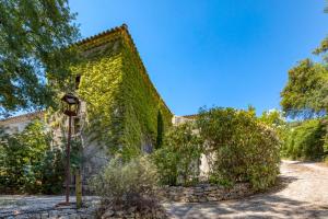 Maisons de vacances Mas Grand Bosc Gite La Tour : photos des chambres