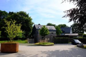 Die Alte Linde