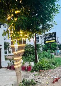 Hotel Taj Signature