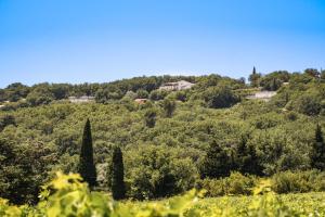 Maisons d'hotes Les Hauts d'Avignon : photos des chambres