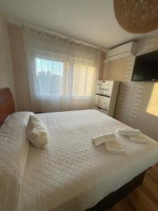 Amplio apartamento, playa, tren