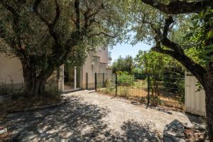 Villas Villa les Oliviers : photos des chambres