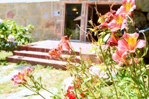 O Quinteiro de Elvira