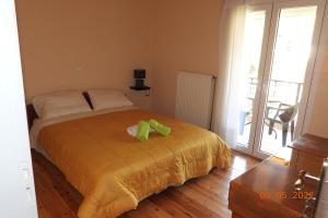 ΥΠΕΡΟΧΟ ΣΠΙΤΙ ΜΕ ΘΕΑ ΣΤΟ ΝΕΟ ΔΕΡΜΑΤΙ Karpenisi