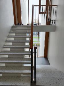 Coastal Calm at Viimsi