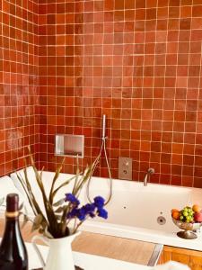 Maison LYO logement Luxe