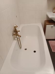 3-Zimmer-Stadtapartment mit Terrasse