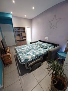 Appartements Charmant logement de Qualite - Centre ville de Millau : photos des chambres