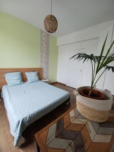 Charmant logement de Qualité - Centre ville de Millau