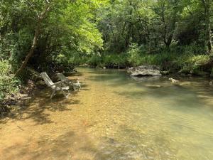 Maisons de vacances Maison avec riviere House with river : photos des chambres