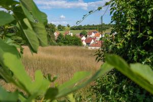 Campings Domaine du Heidenkopf : photos des chambres