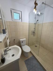 Casa Magda - Oaza de Relaxare