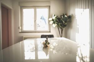 Maisonette Premium Apartment mit Dachterrasse für Business und Familie