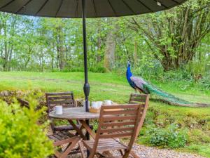 2 bed in Bardon Mill 88032