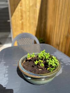 Maisons de vacances Serenity la Maison du bonheur : photos des chambres