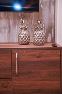 Modern I Penthouse Apt w - AC I Cohost