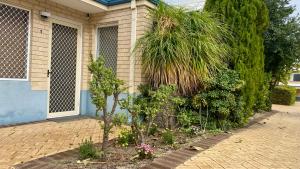 Cozy Balcatta Home