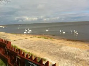 Stunning apartment with terrace - Preila