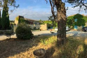 Villas Villa familiale pres de Laure-Minervois avec piscine : photos des chambres