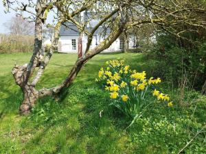Architect-Designed Summer House On Sejerø