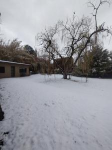 Tierra Clara Chacras