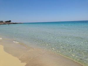 CASINA MlSTER T Lidomarini, Puglia