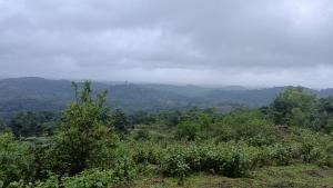 Saketa Homestay