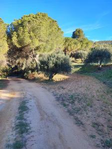 La Torre de La Garriga, 30 minutes from Barcelona