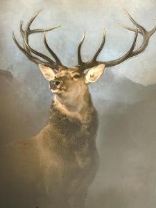 Cloverdale Aparthotel