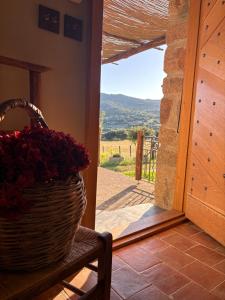 Villas Bergerie de Charme Pedi Lione : photos des chambres