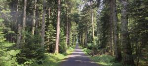 Maisons de vacances Au coeur des bois a Monadiere : photos des chambres