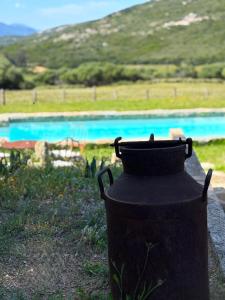 Villas Bergerie de Charme Pedi Lione : photos des chambres