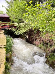 Pensiunea Antonio Bran