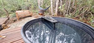 Domo con opcion a tinaja en medio del bosque