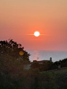 Appartements Splendide vue Mer : photos des chambres