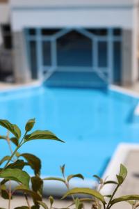 Hotel Albizia