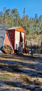 Tiny estrella sur y tinaja