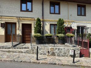 Superior Studio - Annex Building room in Pensiunea Casa Cranta