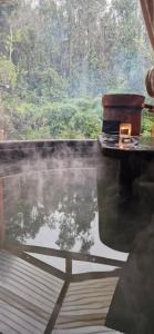 Tiny estrella sur y tinaja