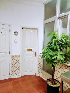 Perfect Room Near Airport 2