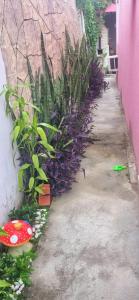 Aconchegante casa em Búzios.