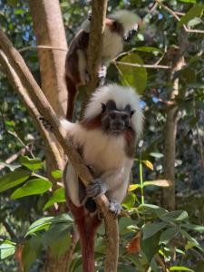 Hotel Isla Palma Reserva Natural