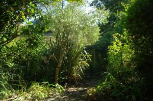 Abbotscot, near Bantham, an eccelectic property with a lovely garden