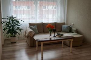 Külaliskorter Tõrva linnas