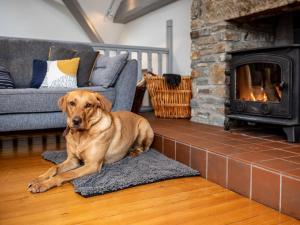 4 Bed in Bideford OAPPL