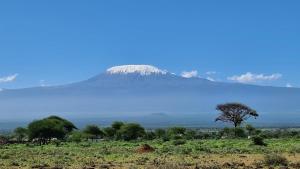 Amanya Star Beds Sleeps 3 with Ensuite