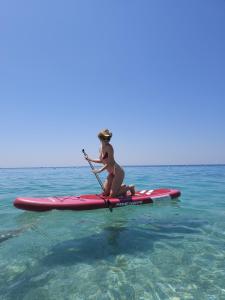 Aloha alb Paddle Boards