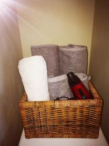 Ghislanzoni Musicista