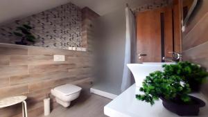 Deluxe Double or Twin Room room in Sarokhaz Panzio