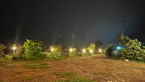 Greenlush Paruntumpara